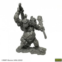 Reaper Miniatures : Nor'okk Ettin