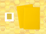 Protèges cartes Premium (X50) JAUNE Beeprotect