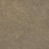 SPLATTER EFFECTS DIRT - 100ml (Acrylic)