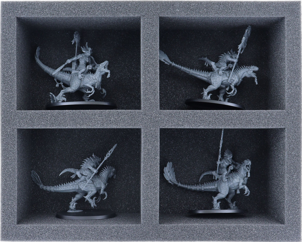 FS080A013 Feldherr mousses de rangement pour Seraphon - 4 compartiments