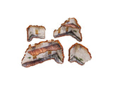 WW2 Achtung Panzer Normandy Ruin 2 (28mm) PRÉPEINTS (Disponible en aout 2025)