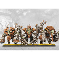 Conquest - Weaver Courts : 1 player Starter Set  (LIVRAISON GRATUITE)(Sortie en novembre 2025)