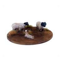 Dead Man’s Hand : Mouton ( 6 figurines ) (Sortie en septembre 2025)