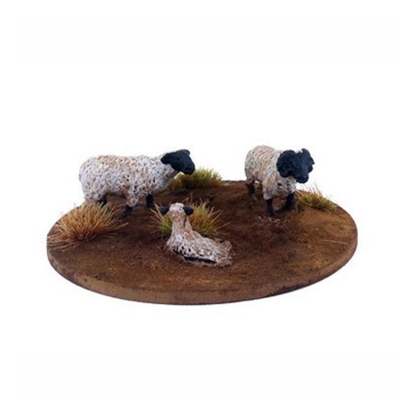 Dead Man’s Hand : Mouton ( 6 figurines ) (Sortie en septembre 2025)