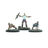 FALLOUT : WASTELAND WARFARE - RAIDERS - PACK TOP DOGS