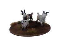 Dead Man’s Hand : Chèvres (6 figurines ) (Sortie en septembre 2025)