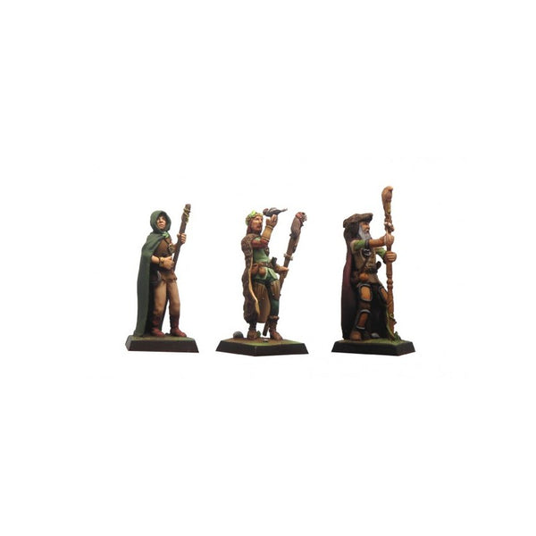 Fenryll : Le Druide
