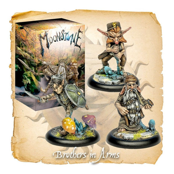Moonstone Brothers in Arms (boite de troupes)