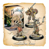 Moonstone Tumbledown Street (boite de troupes)