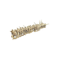 Perry Miniatures - Plastic Wars of the Roses Infantry 1455-1489 (EN STOCK)