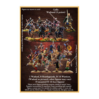 Saga - L'Âge d'Hannibal - Gallic Starter Warband