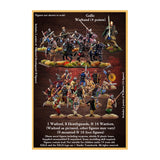 Saga - L'Âge d'Hannibal - Gallic Starter Warband