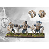 Conquest -Spires: Spires Avatars of Flesh 2000 pt Army (LIVRAISON GRATUITE)