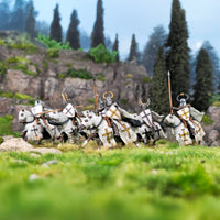Victrix Miniatures - Medieval Knights