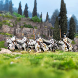 Victrix Miniatures - Medieval Knights