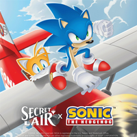 Magic the Gathering : Secret Lair x Sonic : Friends & Foes