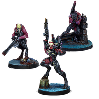 Infinity -Shasvastii Expansion Pack Alpha